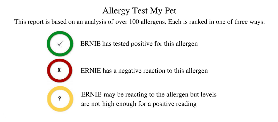 Dog Allergy Testing | homeDNAdirect Canada